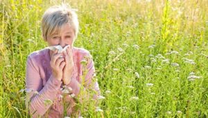 Kvinde pudser næse ude blandt markblomster. Pollensæsonen nærmere sig. Find ud hvordan du styrker dit immunforsvar og holder pollen og andet skidt væk.